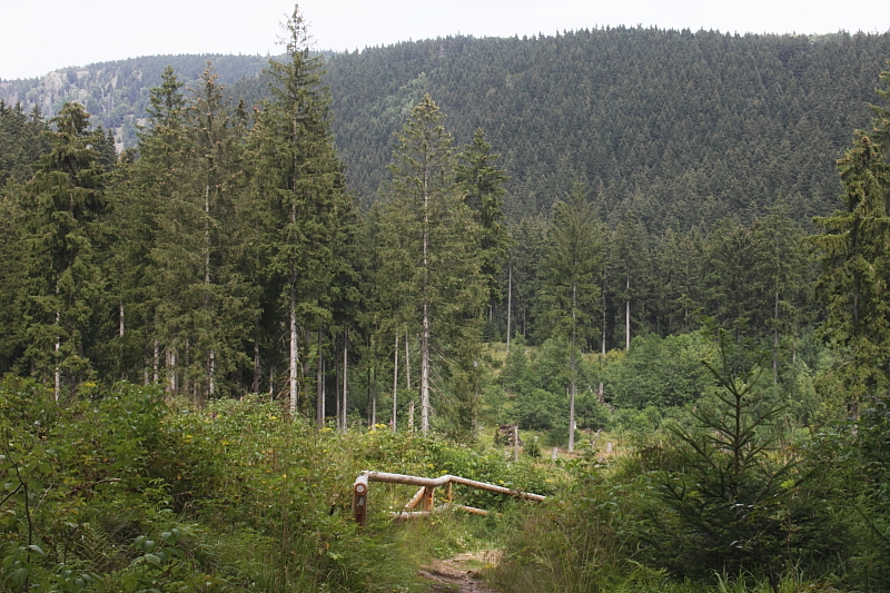 Killikus&reg; Fotographie