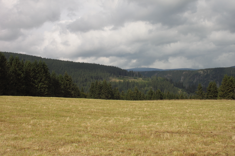 Killikus&reg; Fotographie