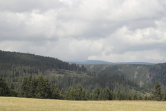 Killikus&reg; Fotographie