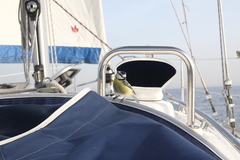 Killikus&reg; Fotographie