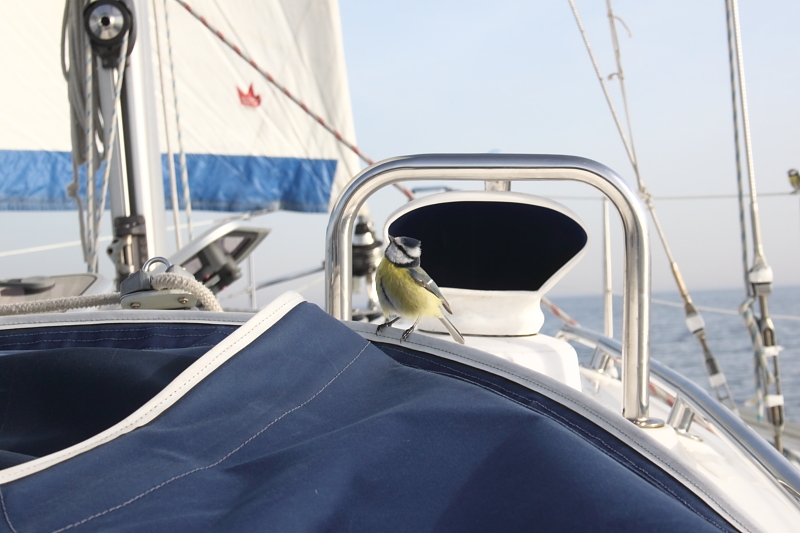 Killikus&reg; Fotographie