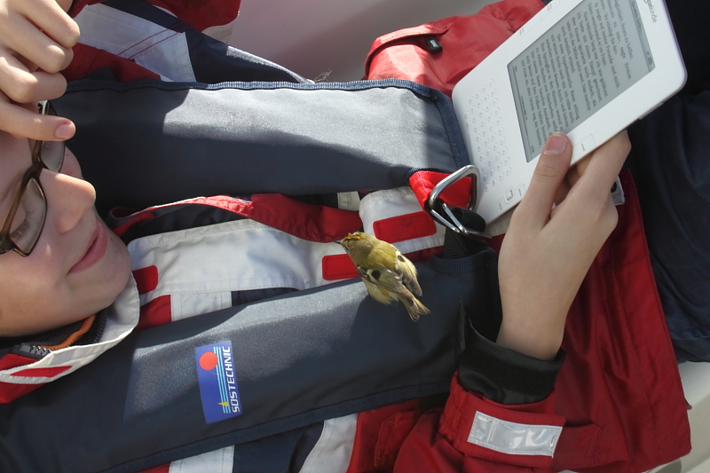 Killikus&reg; Fotographie