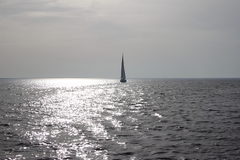 Killikus&reg; Fotographie