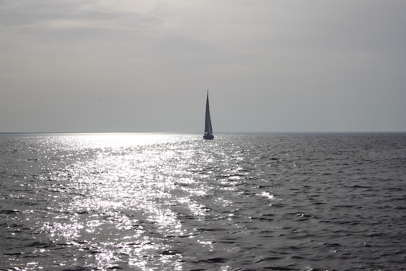 Killikus® Fotographie Killikus® Fotographie