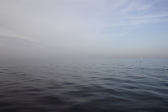 Killikus&reg; Fotographie