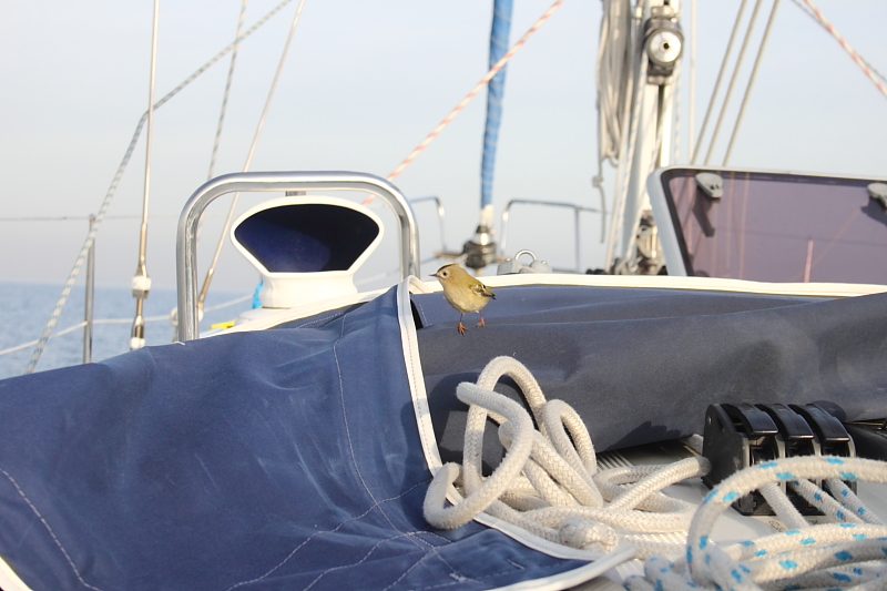 Killikus&reg; Fotographie