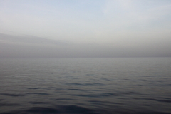 Killikus&reg; Fotographie