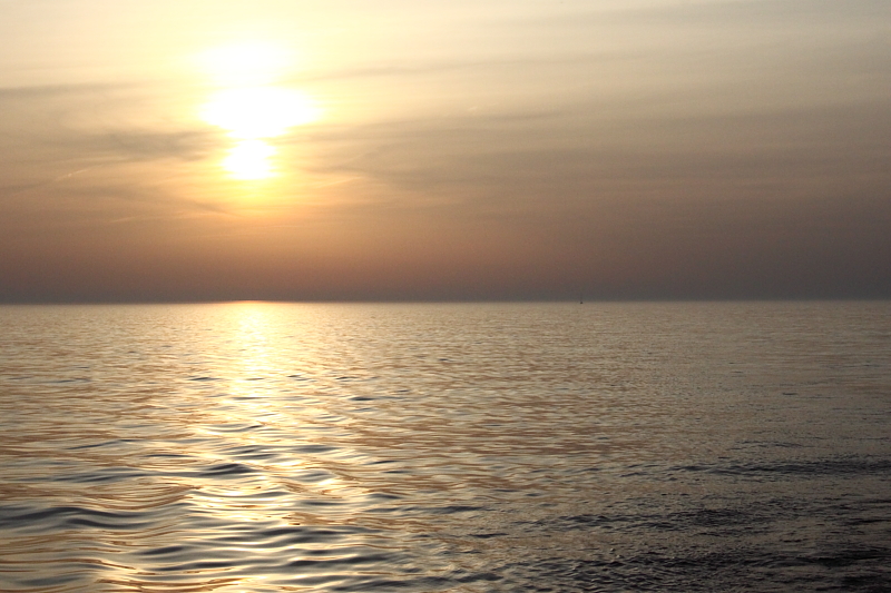 Killikus&reg; Fotographie