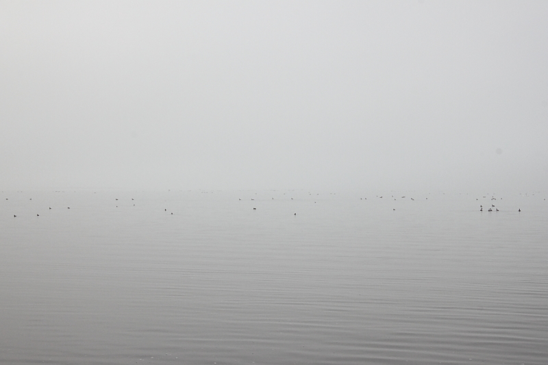 Killikus® Fotographie Killikus® Fotographie