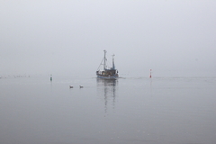 Killikus&reg; Fotographie