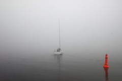 Killikus&reg; Fotographie