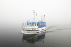 Killikus&reg; Fotographie