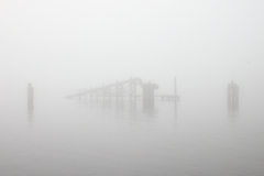 Killikus&reg; Fotographie