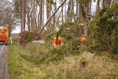 Killikus&reg; Fotographie