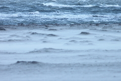 Killikus&reg; Fotographie