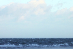 Killikus&reg; Fotographie