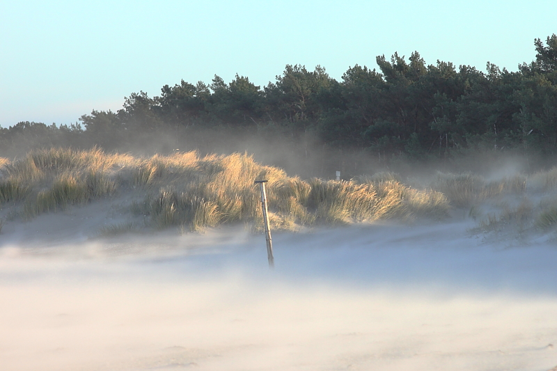 Killikus&reg; Fotographie