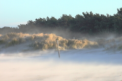 Killikus&reg; Fotographie