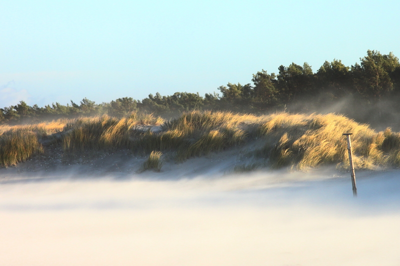 Killikus&reg; Fotographie