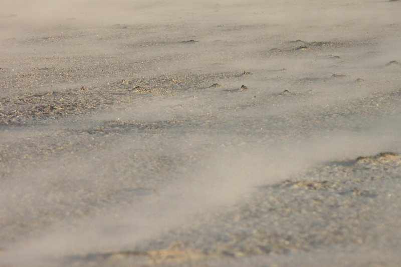 Killikus&reg; Fotographie