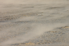 Killikus&reg; Fotographie