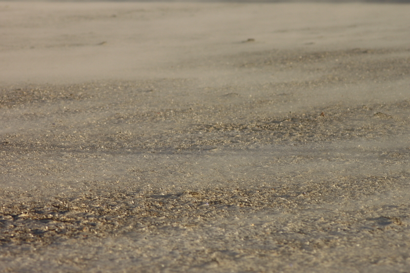 Killikus&reg; Fotographie