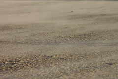 Killikus&reg; Fotographie