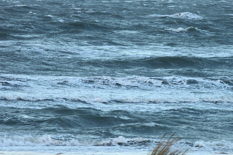 Killikus&reg; Fotographie