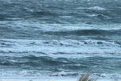 Killikus&reg; Fotographie