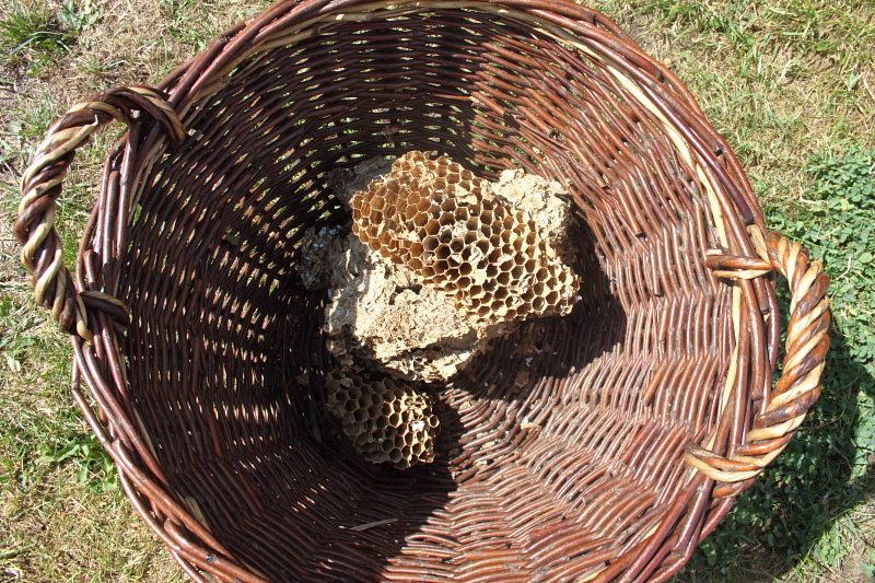 Killikus&reg; Fotographie