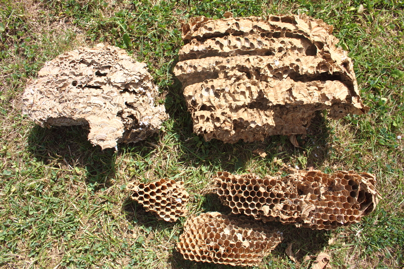 Killikus® Fotographie Killikus® Fotographie