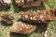 Killikus&reg; Fotographie