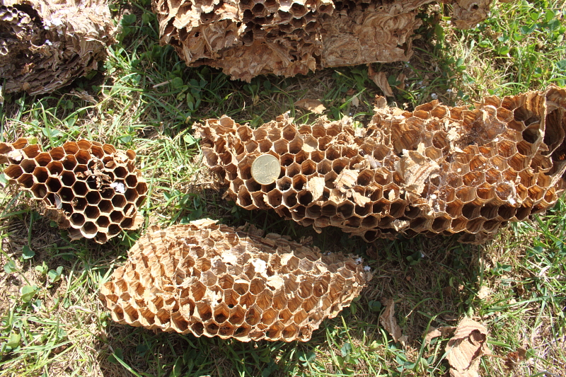 Killikus&reg; Fotographie