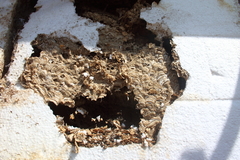 Killikus&reg; Fotographie