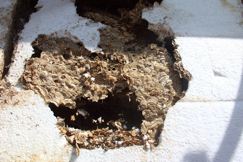 Killikus&reg; Fotographie