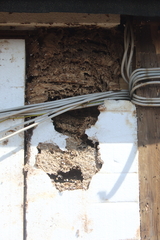 Killikus&reg; Fotographie