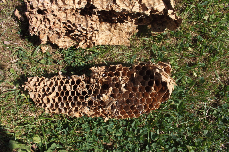 Killikus&reg; Fotographie