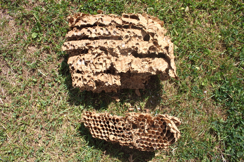 Killikus&reg; Fotographie