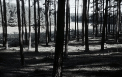 Killikus&reg; Fotographie