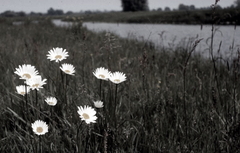 Killikus&reg; Fotographie