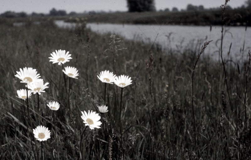 Killikus&reg; Fotographie