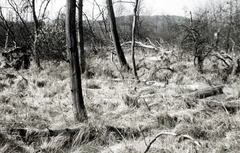 Killikus&reg; Fotographie