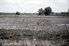 Killikus&reg; Fotographie