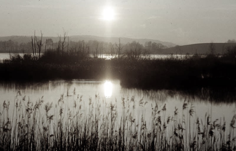 Killikus® Fotographie Killikus® Fotographie