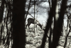 Killikus&reg; Fotographie