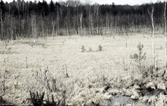 Killikus&reg; Fotographie