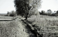 Killikus&reg; Fotographie