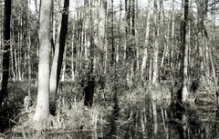 Killikus® Fotographie