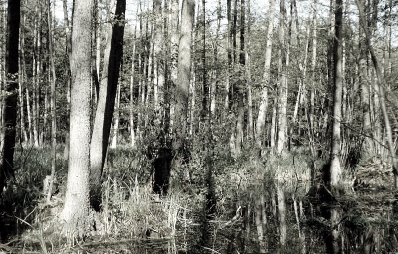 Killikus® Fotographie Killikus® Fotographie