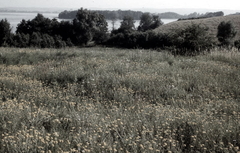 Killikus® Fotographie